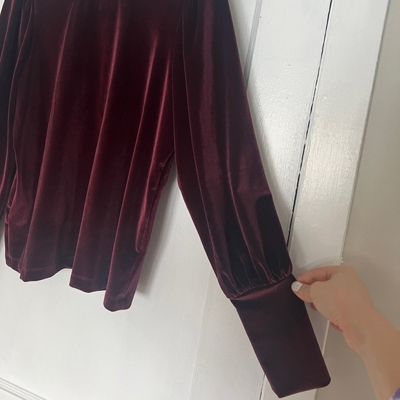 LOFT Velvet Burgundy Blouse - Picture 4 of 9